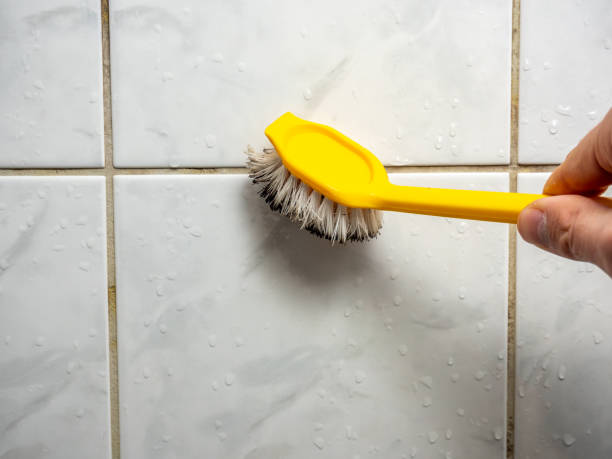 Best Office Mold Removal Services  in Washington Terrace, UT
