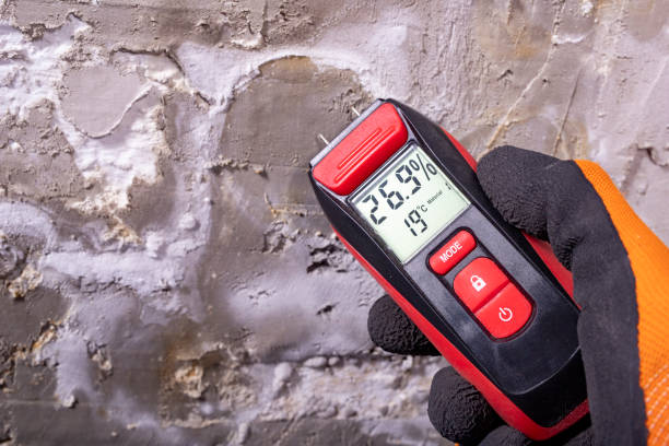 Mold Removal and Inspection in Washington Terrace, UT