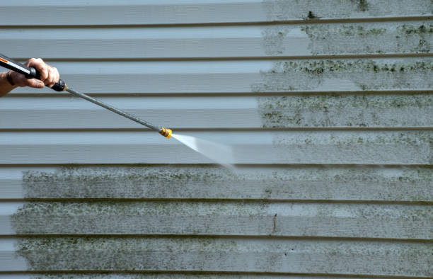 Best Mold Removal Process  in Washington Terrace, UT
