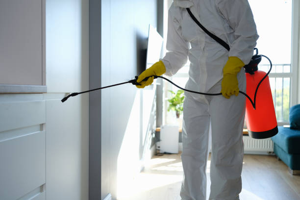 Best Mold Remediation Services  in Washington Terrace, UT