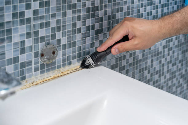 Best Mold Damage Repair  in Washington Terrace, UT